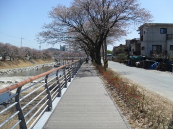 금산천 고향의 강 정비사업 중 보도교확장공사